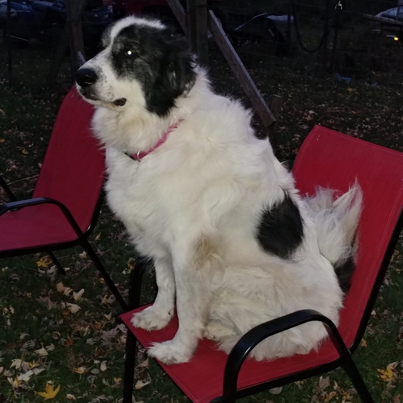 MEET MY KIDS! - Picture 6 of 10